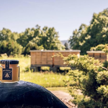 Zurich Marriott Hotel Екстер'єр фото Honey from the region